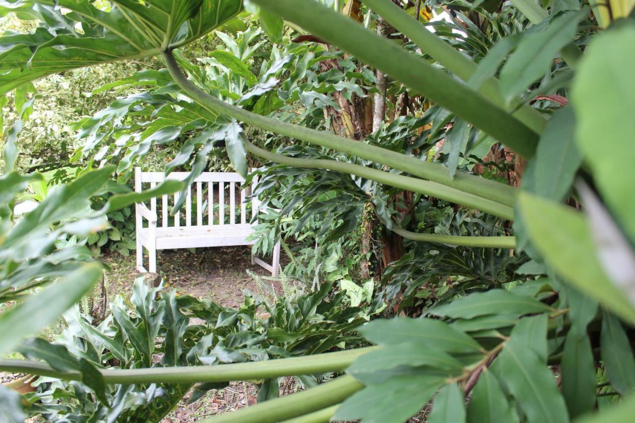 Pousada Habitat Marinho 因比图巴 外观 照片