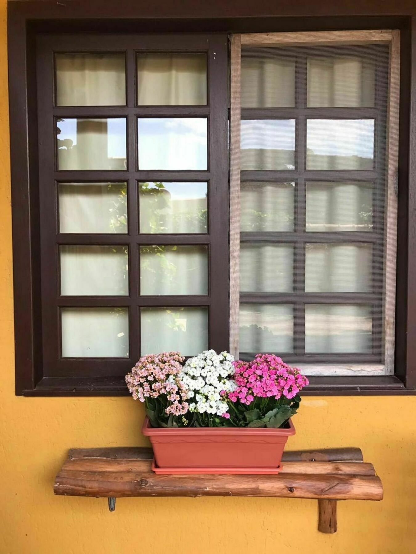 Pousada Habitat Marinho 因比图巴 外观 照片