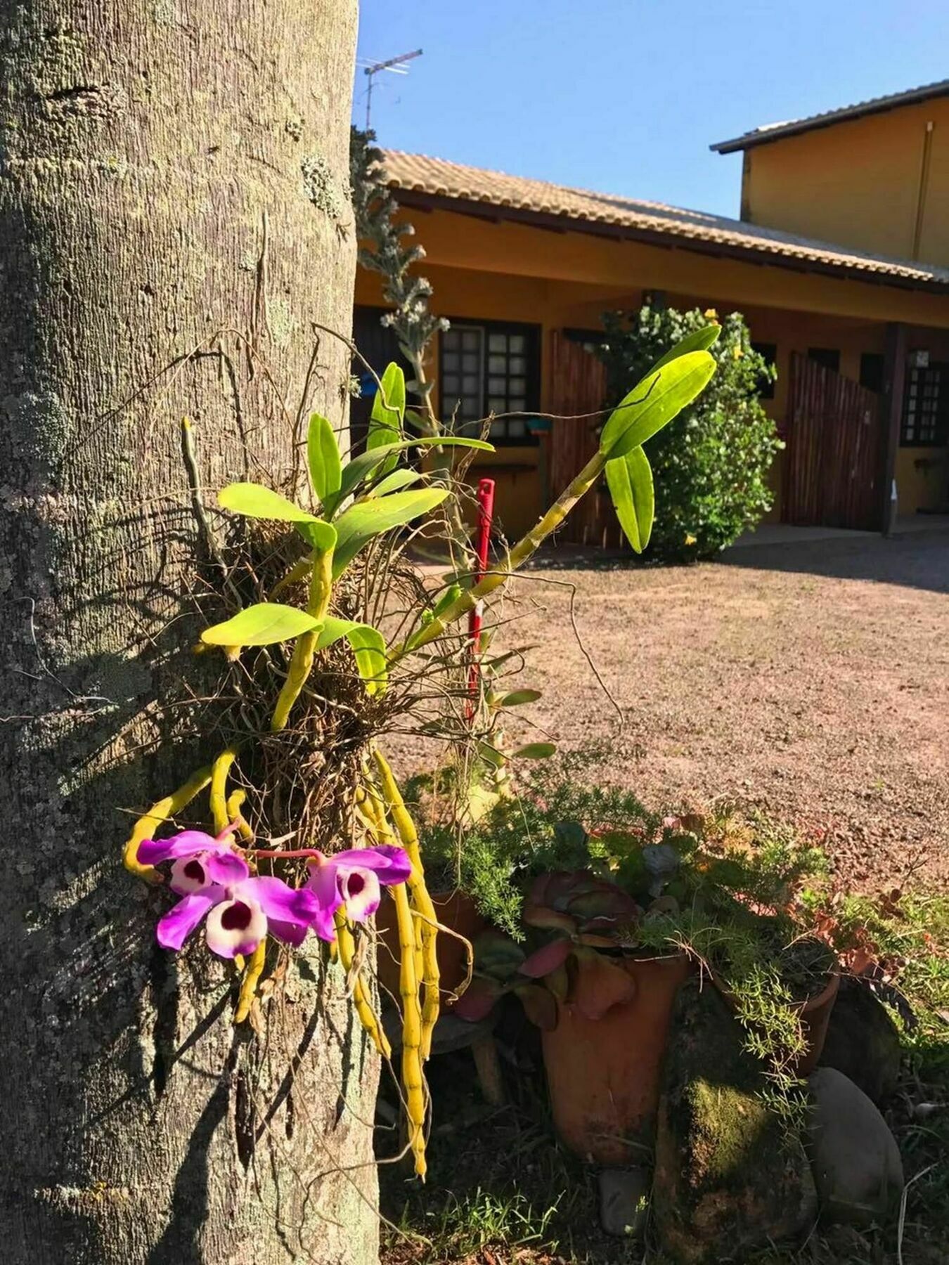 Pousada Habitat Marinho 因比图巴 外观 照片